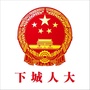 下城人大ico