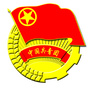 青湖路街道团工委ico