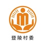 坪山登陵阳光村务ico