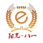 海门阳光八一ico