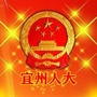 宜州人大ico