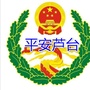 平安芦台ico