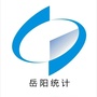岳阳统计ico