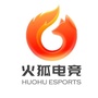 火狐电竞gameico