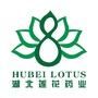 莲花药业健康讲堂ico