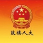 鼓楼人大ico