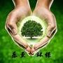 乐至生态环境ico