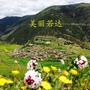 网信若达ico