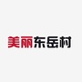 美丽东岳村ico