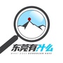 东莞有什么ico