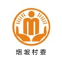 白家烟坡阳光村务ico