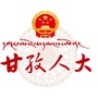 甘孜人大ico