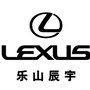 乐山辰宇雷克萨斯ico