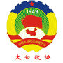 太白政协ico