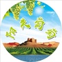 阳关葡萄ico