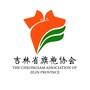 吉林省旗袍协会ico