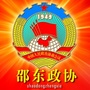 邵东政协ico