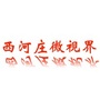 西河庄微视界ico