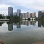 广州魅力九龙ico