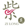 紫龙动漫ico