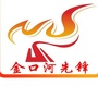 金口河先锋ico