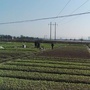 镜坝发布ico