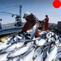 海鲜阿嫂海港直送ico