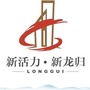 白云龙归发布ico