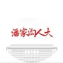 潘家沟人大ico