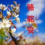 美丽骆驼安ico