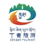 丁青之旅ico