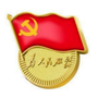 君山巡察ico