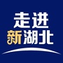 走进新湖北ico