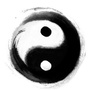 真元道医堂ico