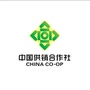 白云供销资产经营ico