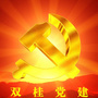 锦江区双桂路街道党工委ico