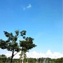 承德本地热点ico