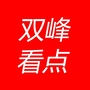 双峰看点ico