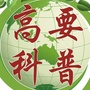 高要科普ico