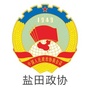 盐田政协ico