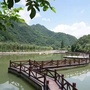 和美河口ico