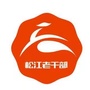 松江老干部ico