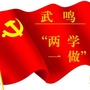 武鸣两学一做ico