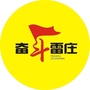 奋斗雷庄ico