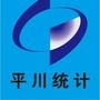 白银市平川区统计局ico