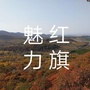 红旗永远飞扬ico