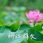 柳州市柳江区文化馆ico