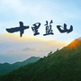 十里蓝山养生论坛ico