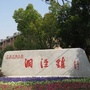 悦洞泾ico