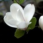 红四平安长治ico